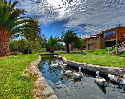 Observatorio Vertiente de estrellas - La Serena